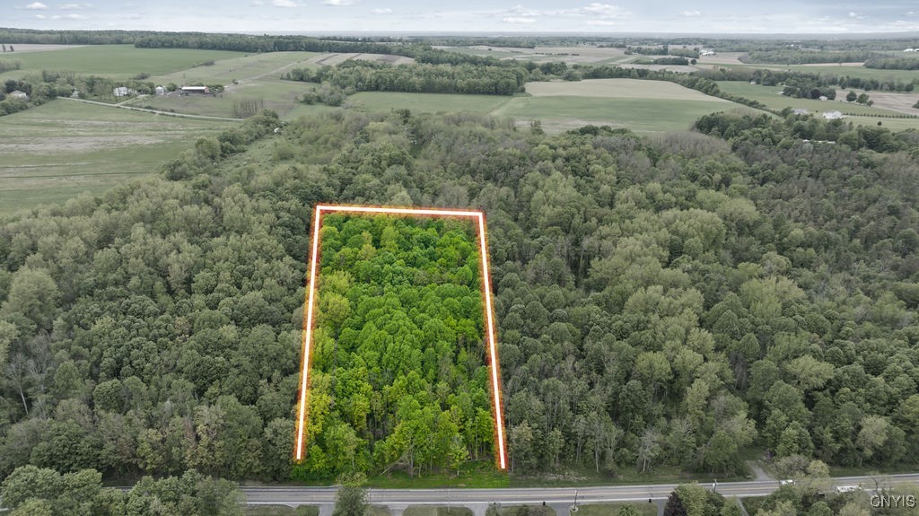 0 State Route 38 Scipio Center, NY 13147 - Photo 3 of 18