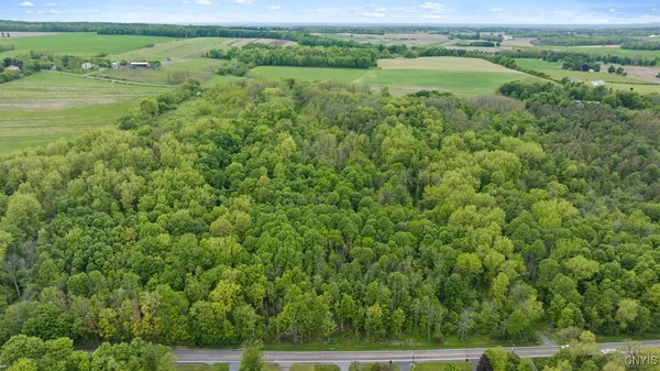 $149,000 | 0 State Route 38, Scipio Center, NY 13147