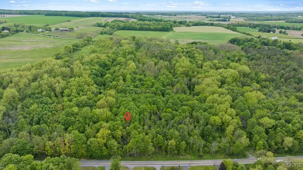 $149,000 | 0 State Route 38, Scipio Center, NY 13147