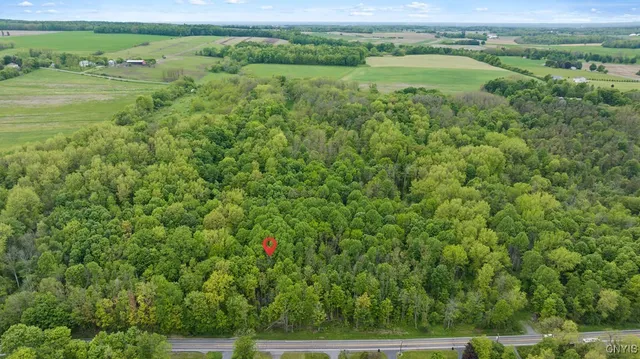 $149,000 | 0 State Route 38, Scipio Center, NY 13147