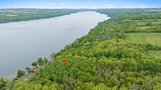 $149,000 | 0 State Route 38, Scipio Center, NY 13147