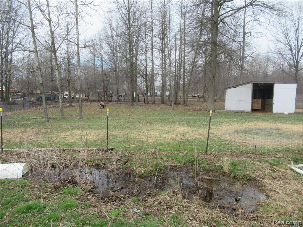 43591 Arkona Road New Boston, MI 48164 - Photo 19 of 25 IMG_5509.JPG