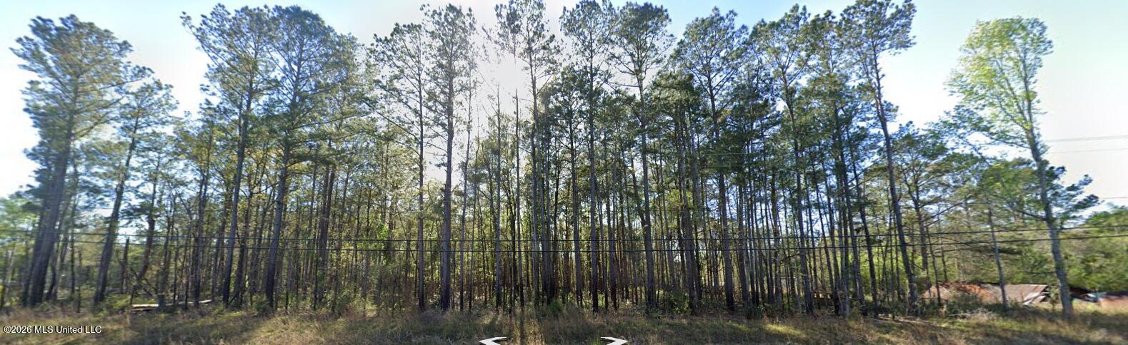 35 Highway 35 Foxworth, MS 39483 - Photo 4 of 8 Screenshot 2026-03-05 084249