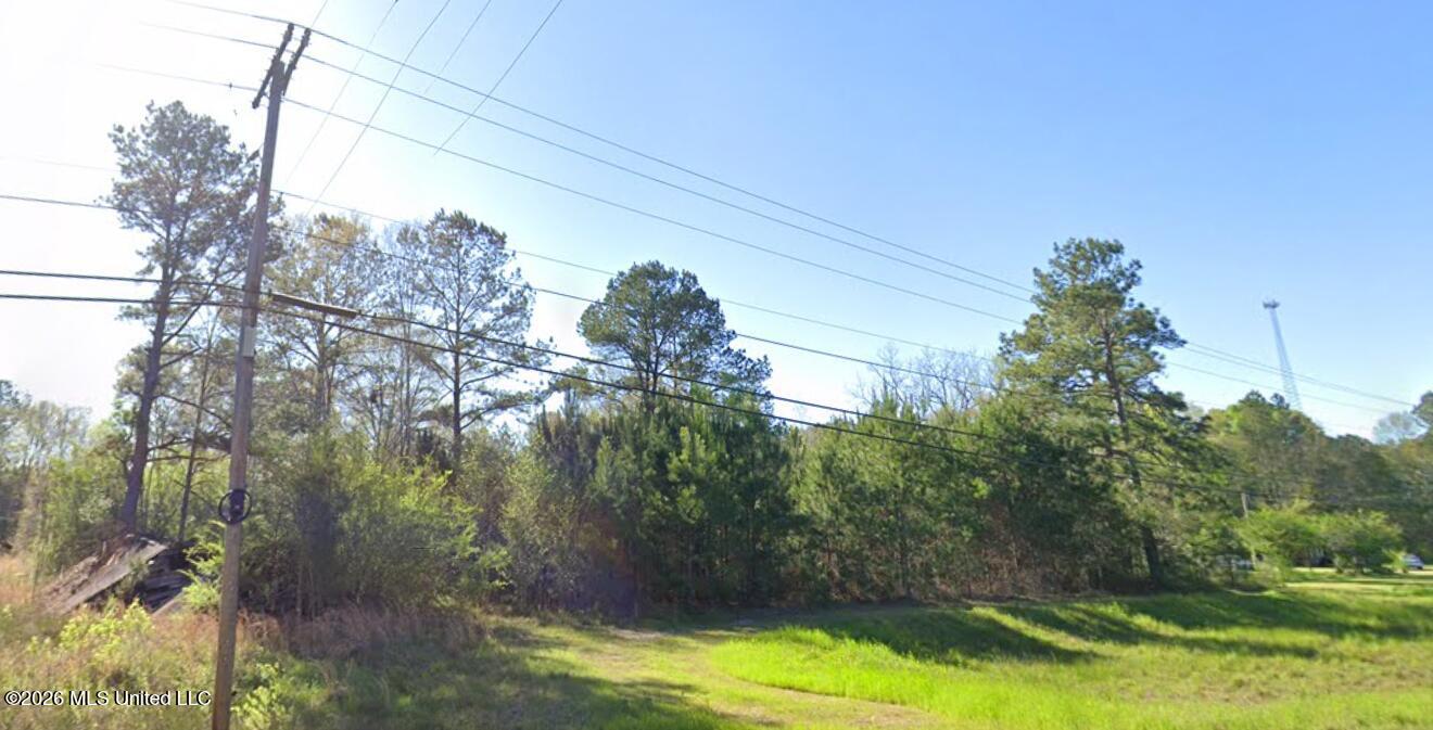 35 Highway 35 Foxworth, MS 39483 - Photo 6 of 8 Screenshot 2026-03-05 084359