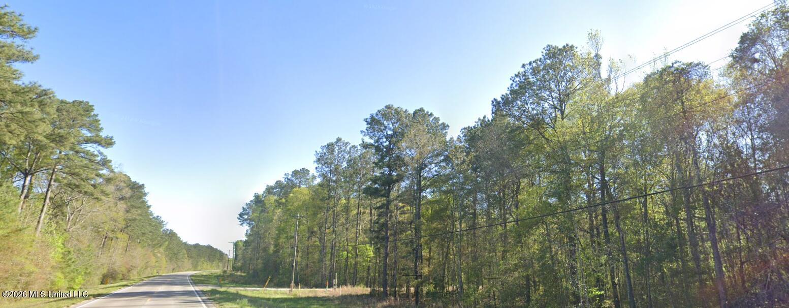 35 Highway 35 Foxworth, MS 39483 - Photo 8 of 8 Screenshot 2026-03-05 084623