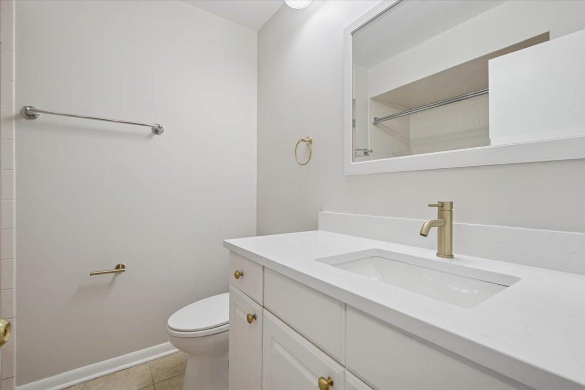7320 Lake Street, Unit 1A River Forest, IL 60305 - Photo 18 of 22 a bathroom with a sink and a toilet