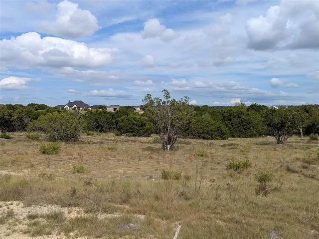 a view of a yard with a tree