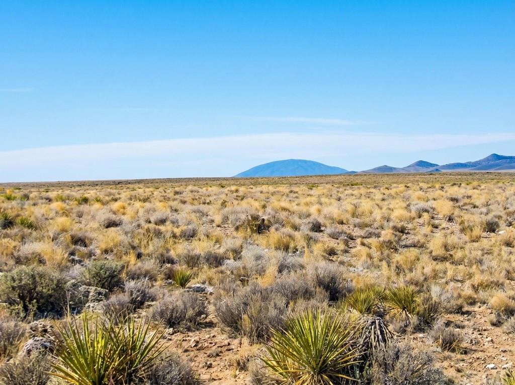 104 County Road North Blanca, CO 81123 - Photo 4 of 7