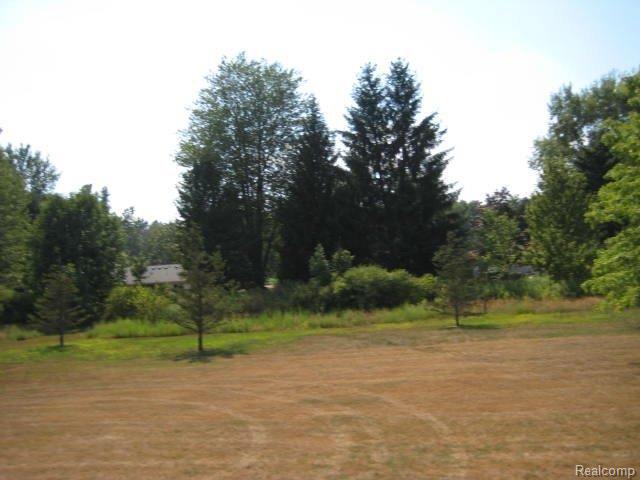 19315 Elwell Road Belleville, MI 48111 - Photo 8 of 21 Backyard.JPG