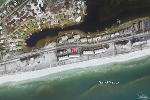 a view of a room with a tree