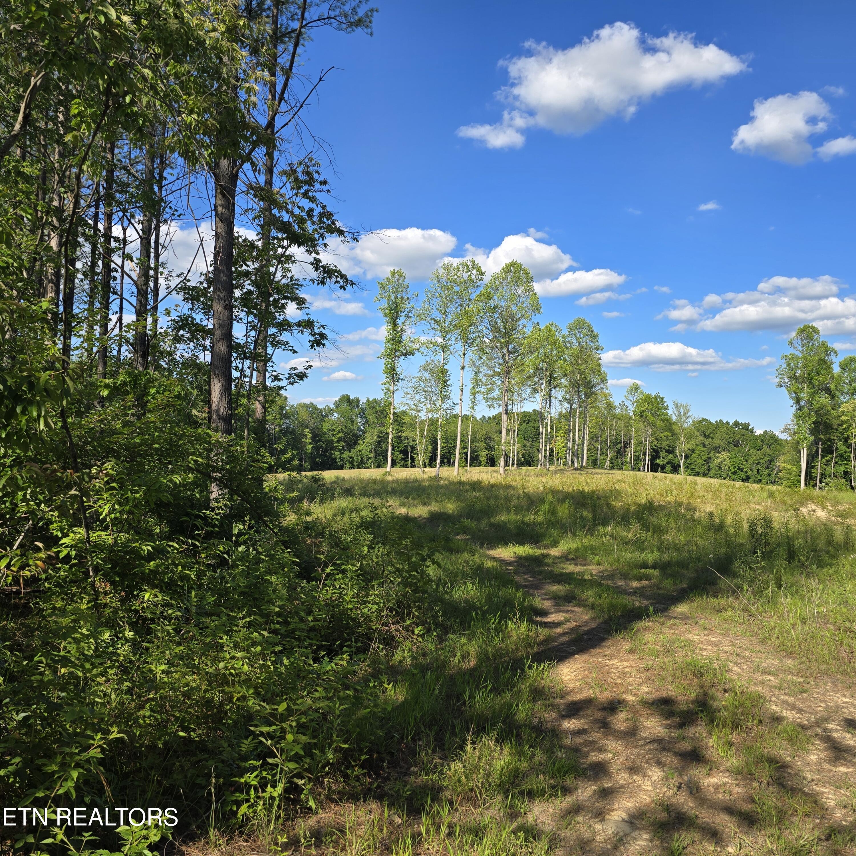 80-ac Red Hill Road Sunbright, TN 37872 - Photo 13 of 16 20260620_180239