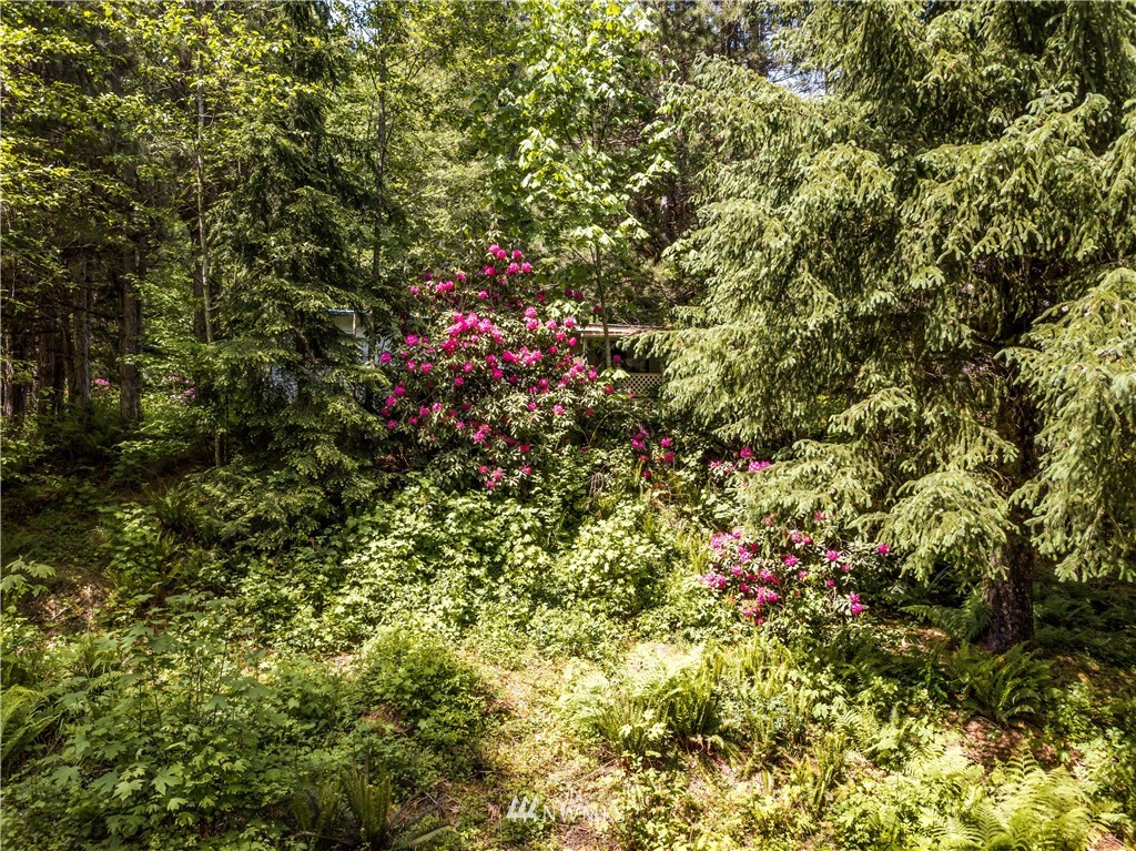 8555 Silver Lake Road Maple Falls, WA 98266 - Photo 23 of 28
