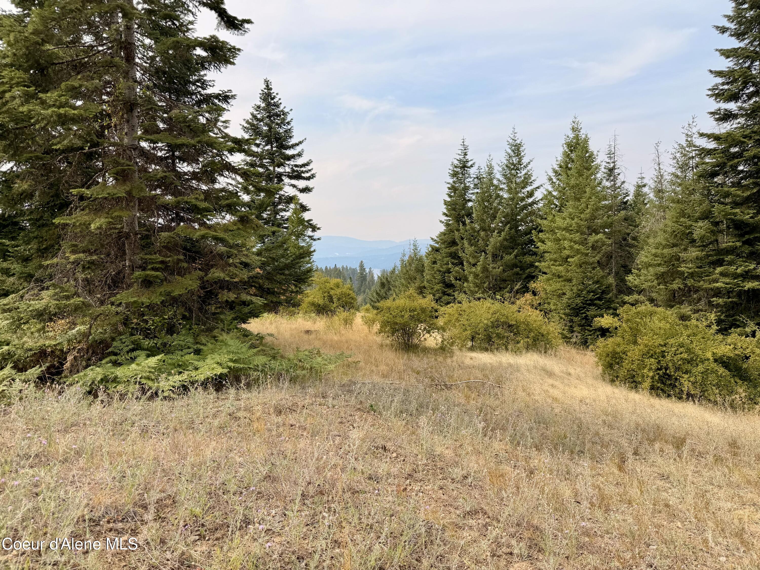 Lot 32 South Lahaina Road Harrison, ID 83833 - Photo 30 of 43 IMG_6482