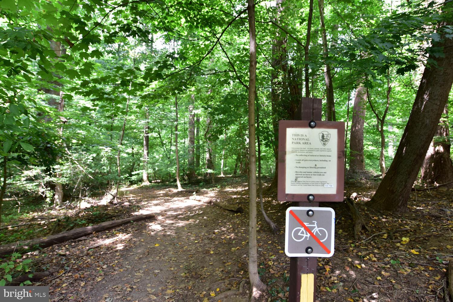 67 Observatory Circle Northwest Washington, DC 20008 - Photo 76 of 87