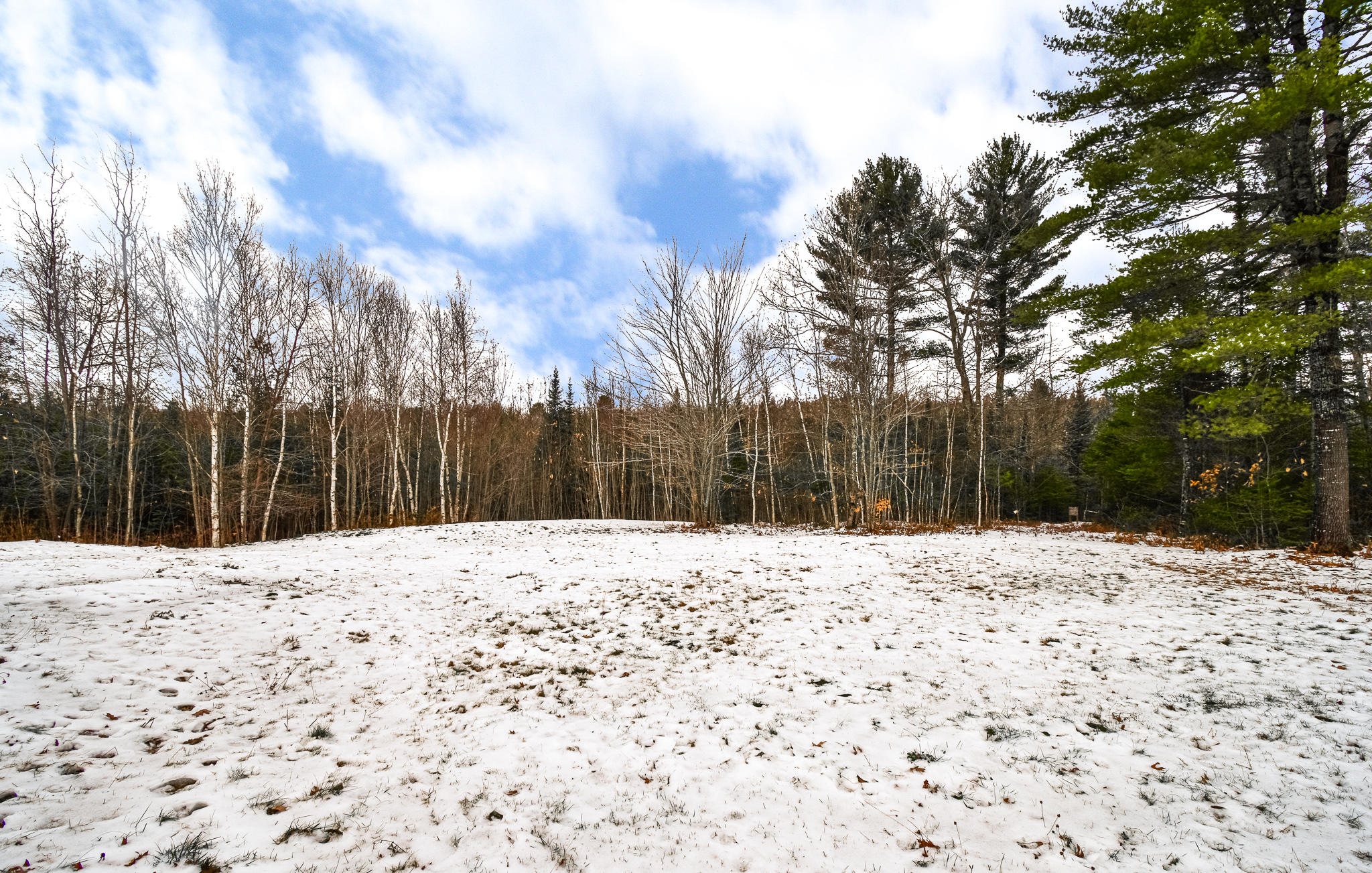 289 Pleasant River Road Milo, ME 04463 - Photo 11 of 19 DSC_1818-Edit