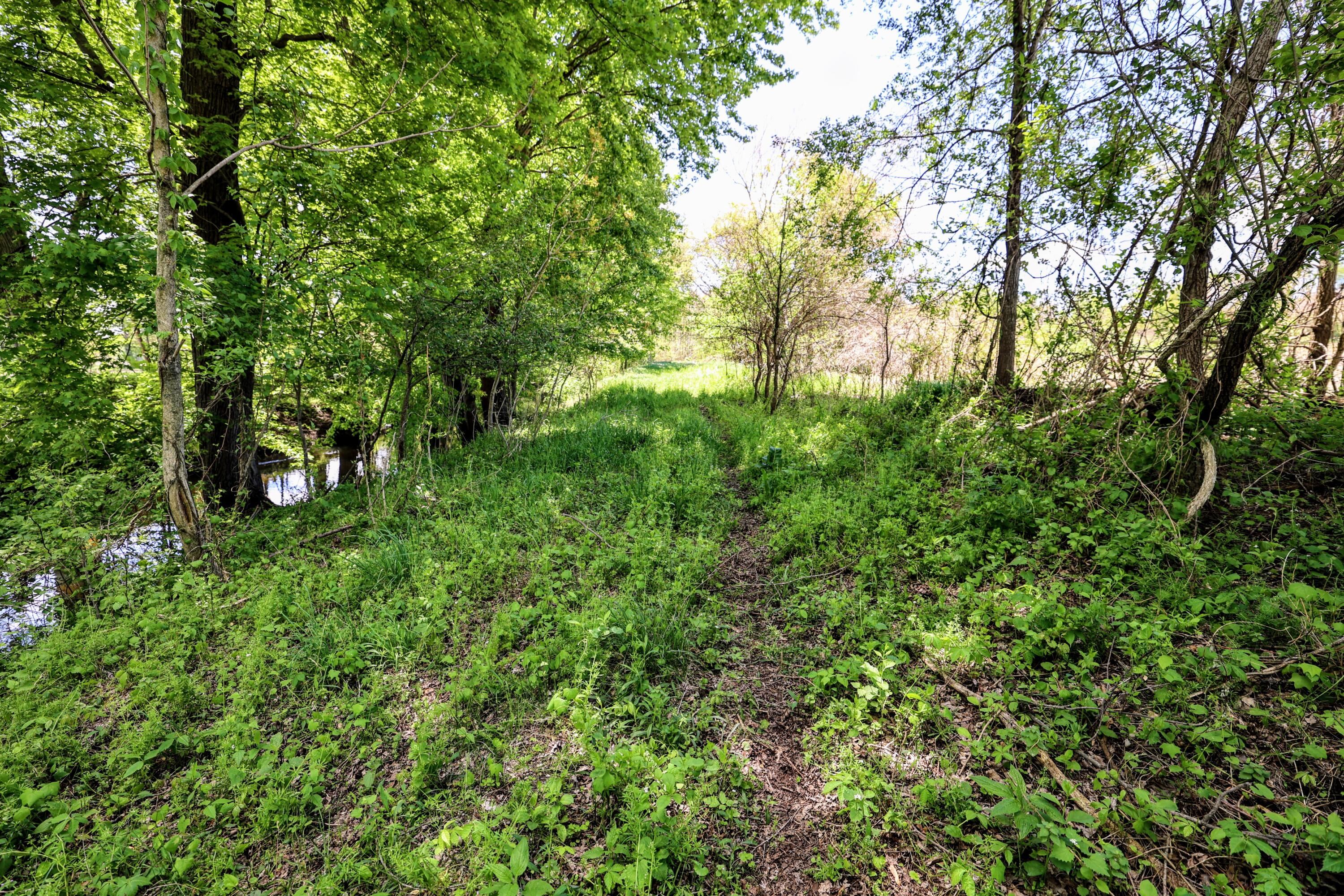 8 1/2 8 1/2 Mile Road Burlington, MI 49029 - Photo 12 of 55 12