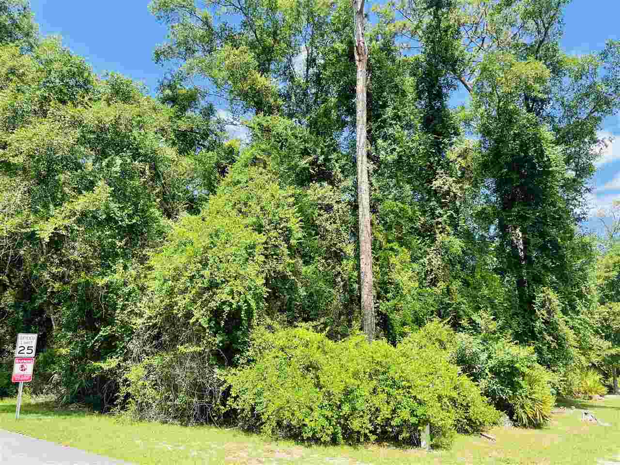 3297 Horseshoe Cove Road Waverly, GA 31565 - Photo 7 of 22