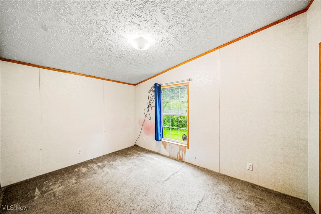 6835 Sidley Road Thompson, OH 44086 - Photo 29 of 39 Carpeted empty room featuring vaulted ceiling, ornamental molding, and a textured ceiling