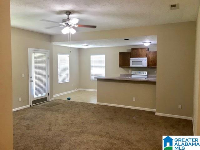 1291 Kines Road Piedmont, AL 36272 - Photo 5 of 25