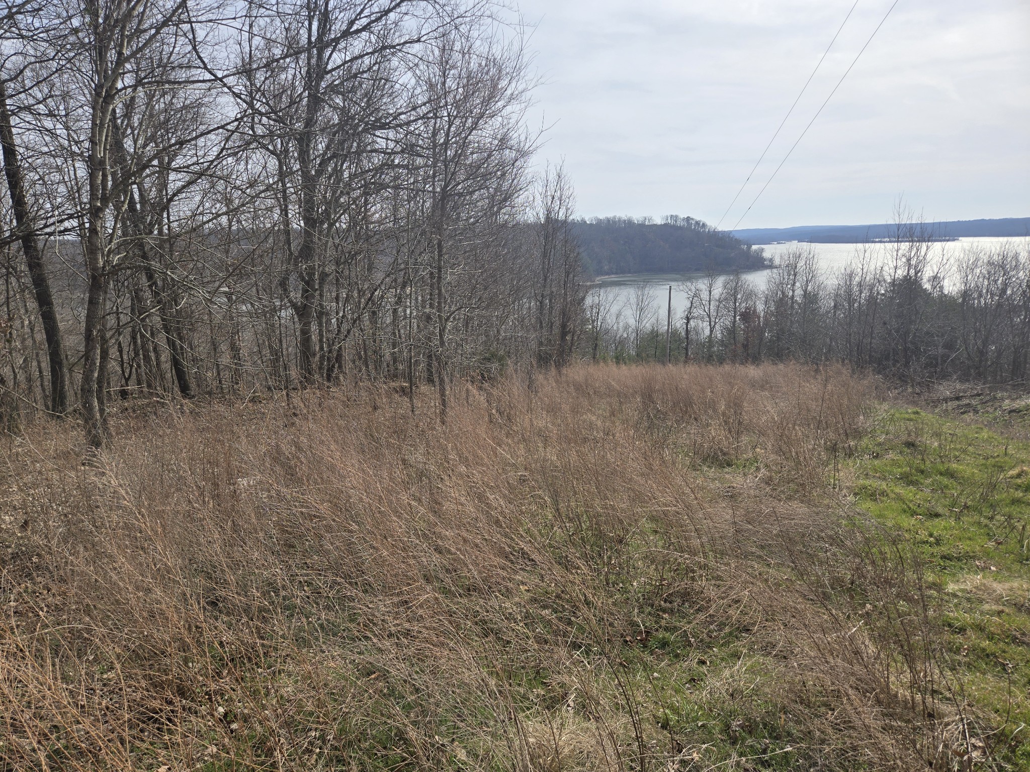 0 Cleburne Point Waverly, TN 37185 - Photo 1 of 11 a view of a backyard