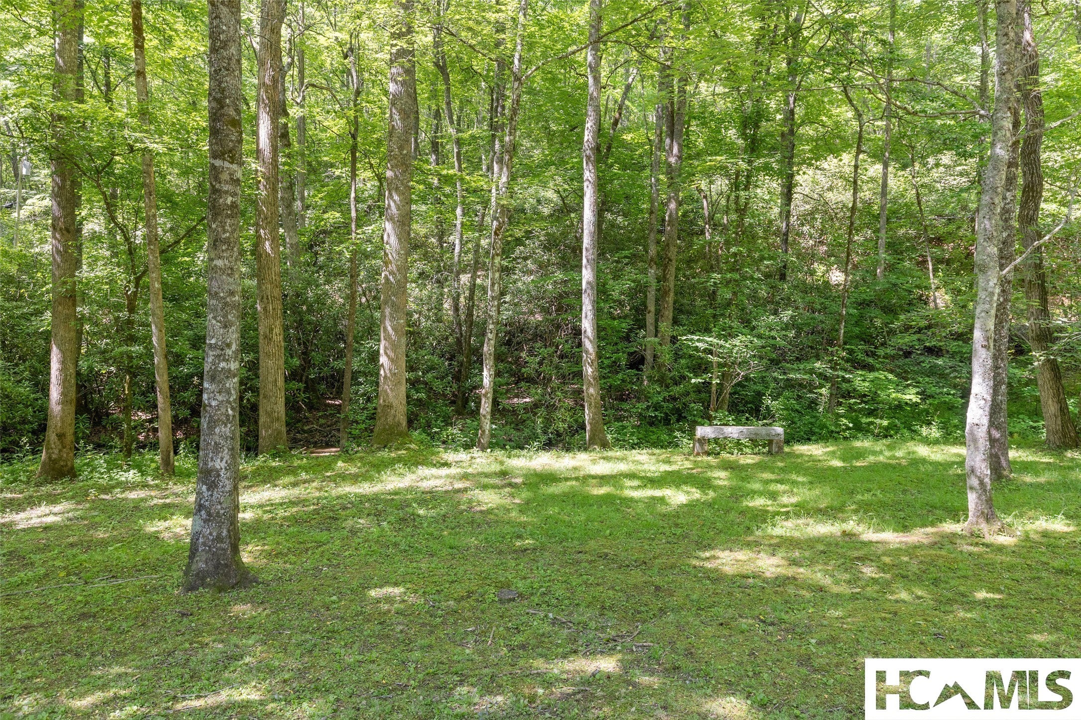 427 Mulberry Ridge Road Otto, NC 28763 - Photo 34 of 53 Gallery Image 34