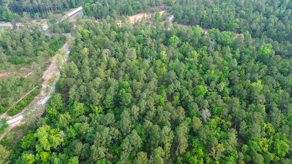 0 Mt Zion Road, Unit 5 Trenton, SC 29847 - Photo 8 of 26