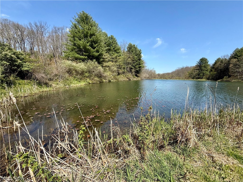 4101 Peace Road Southeast Carrollton, OH 44615 - Photo 29 of 48