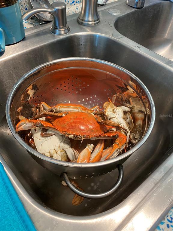 13121 Beacon Court Hudson, FL 34667 - Photo 72 of 84