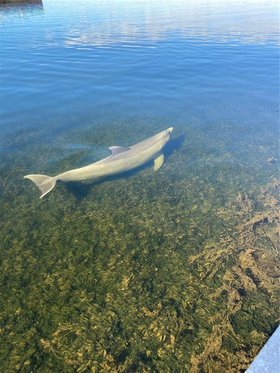 13121 Beacon Court Hudson, FL 34667 - Photo 73 of 84