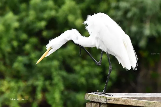 $424,900 | 13121 Beacon Court, Hudson, FL 34667