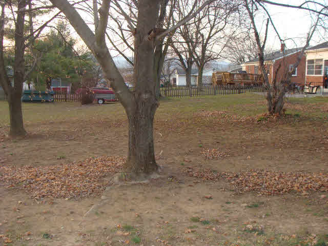 254 East Springbrook Road Broadway, VA 22815 - Photo 15 of 16 Gallery Image 15