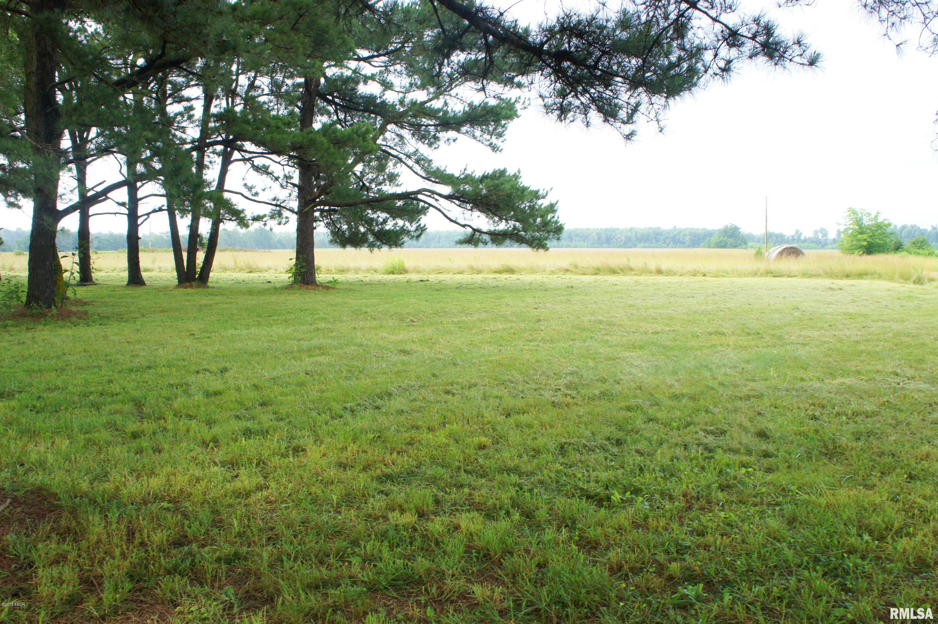 2028 Mt Pleasant Road Brookport, IL 62910 - Photo 14 of 17 Gallery Image 14