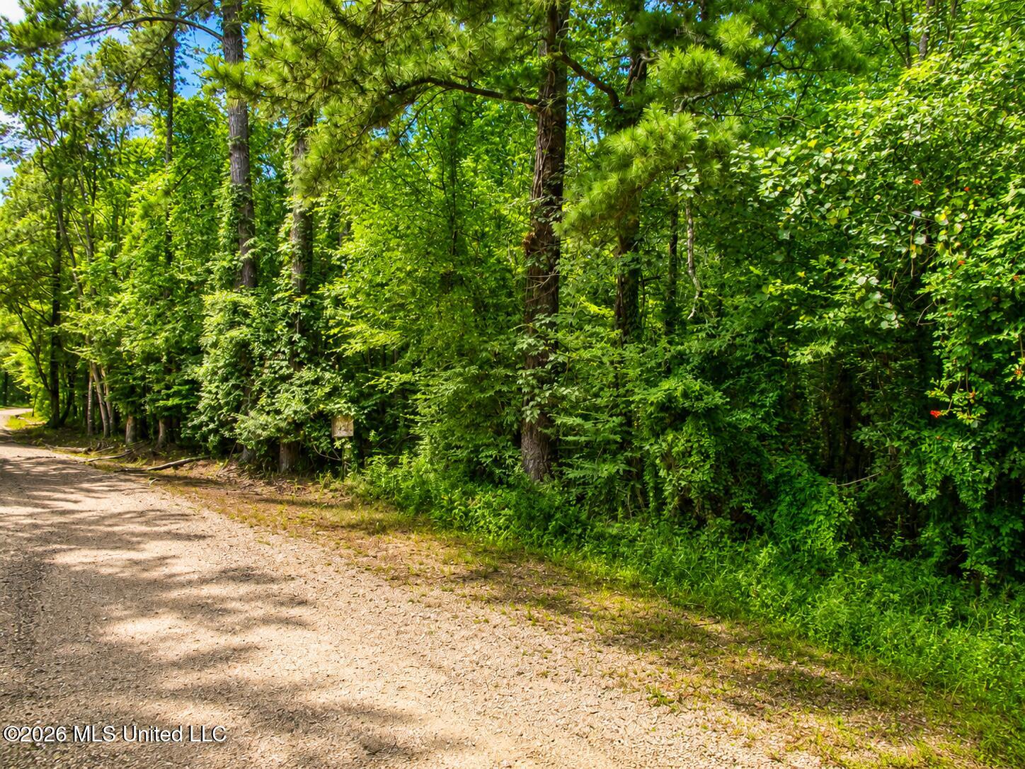 land-for-sale-amite-parish-la (1)