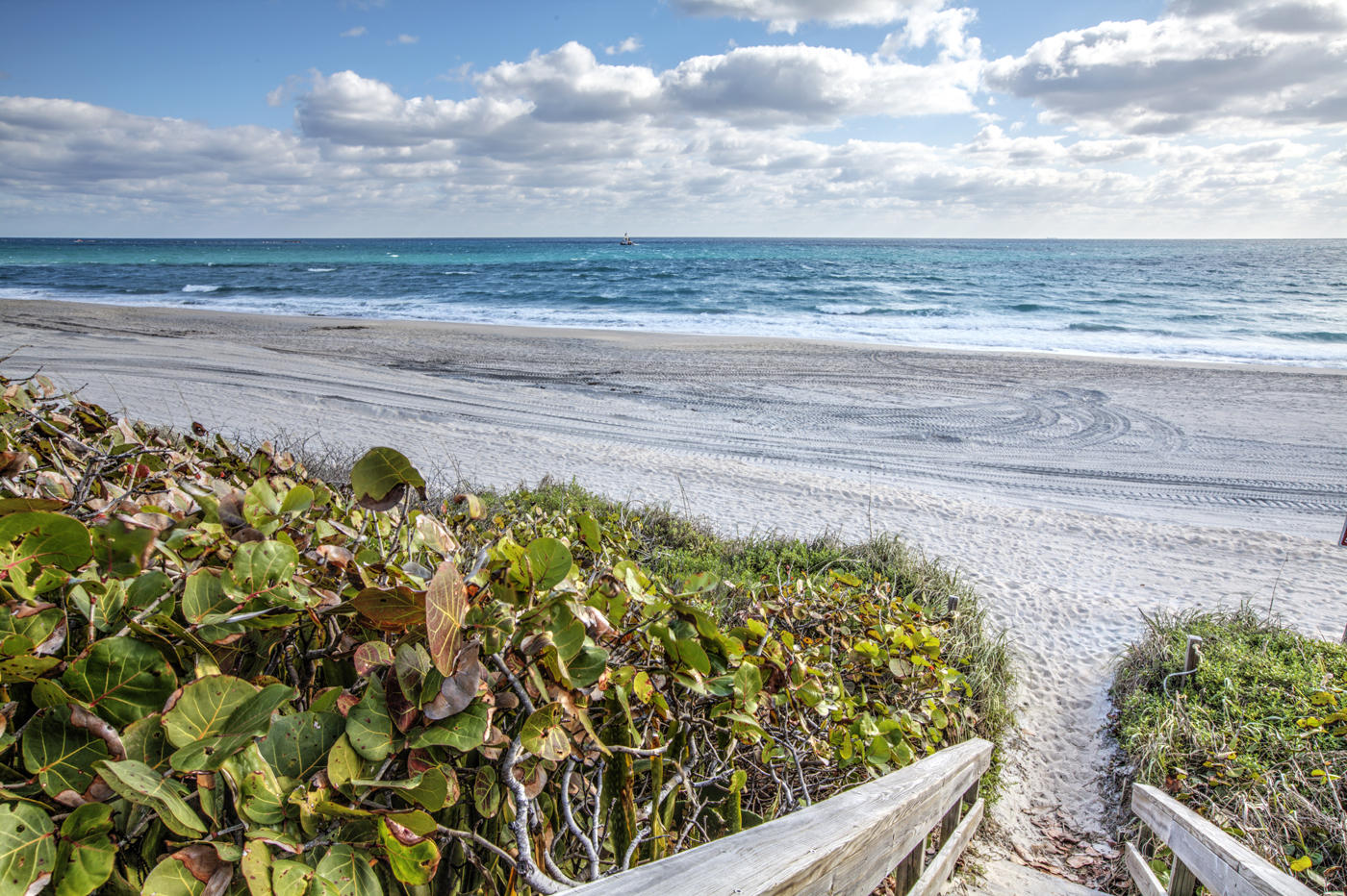 2190 Ibis Isle Road, Unit 4 Palm Beach, FL 33480 - Photo 29 of 29 phipps beach
