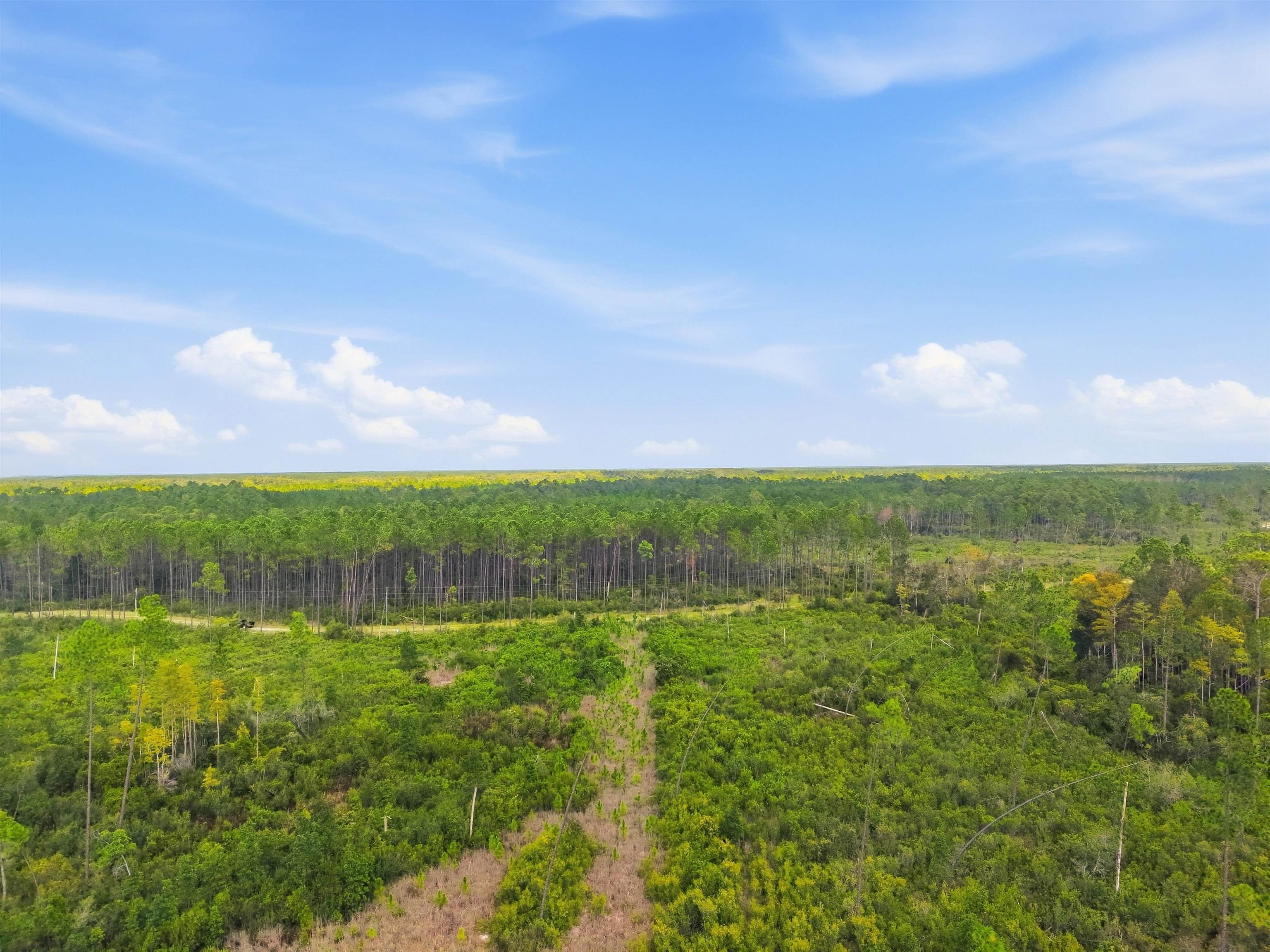 77 Circle Block Loop Perry, FL 32347 - Photo 15 of 22 Gallery Image 15