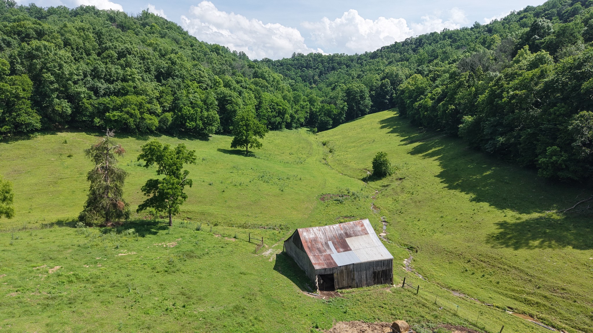 1358 Dry Branch Road Dixon Springs, TN 37057 - Photo 40 of 98