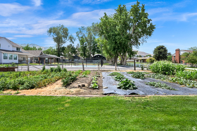 13658 South Fort Street Draper, UT 84020 - Photo 68 of 87 Expansive backyard featuring a manicured lawn, a large garden with cultivated rows, mature trees, and a distant mountain range
