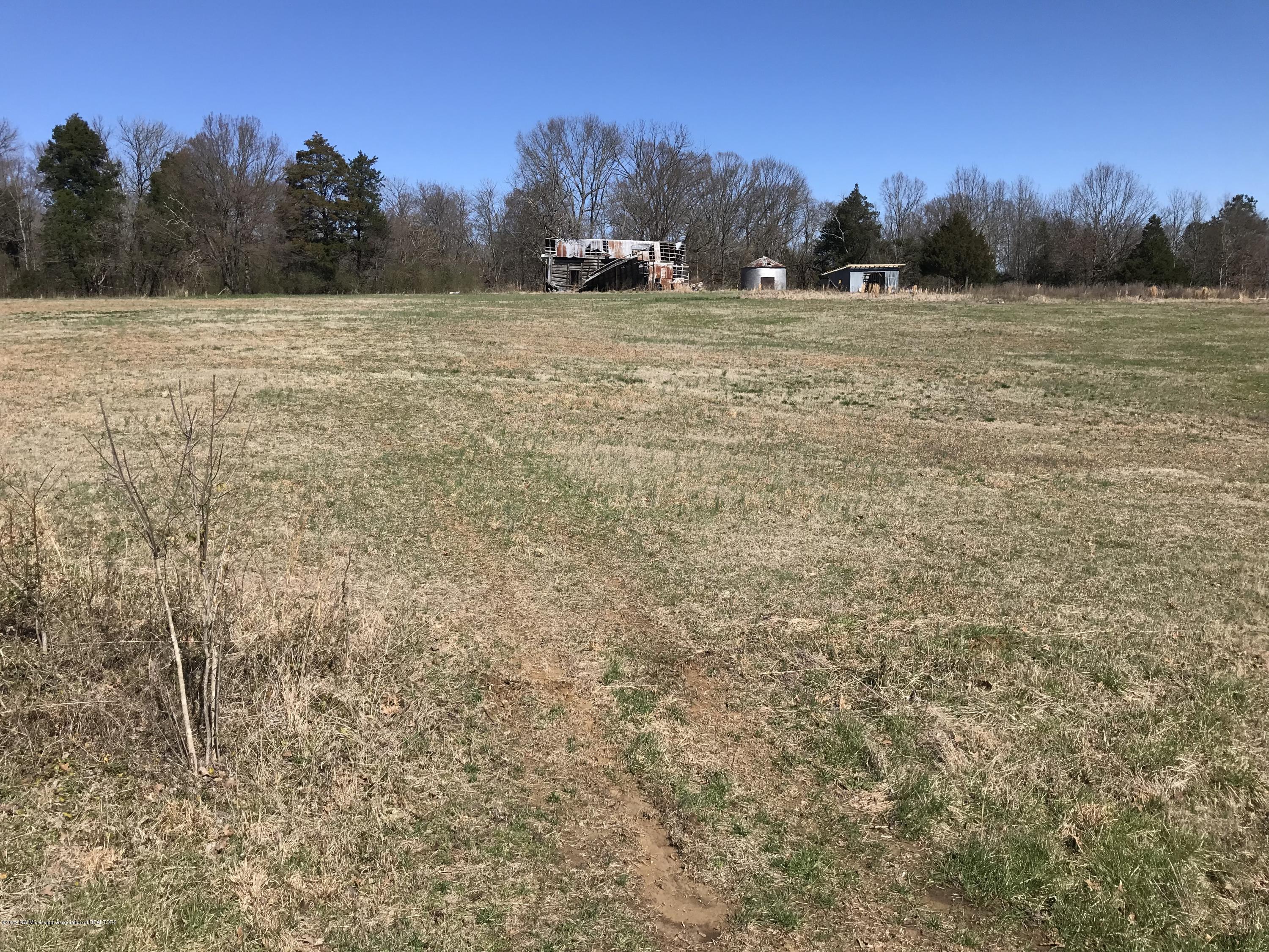 4 East Tate Road Coldwater, MS 38618 - Photo 1 of 3 Photo Mar 05, 11 00 49 AM