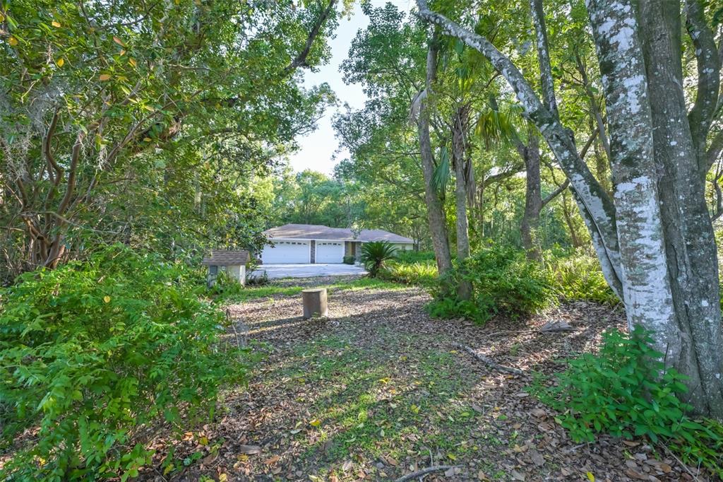 36625 Lake Pasadena Road Dade City, FL 33525 - Photo 38 of 55
