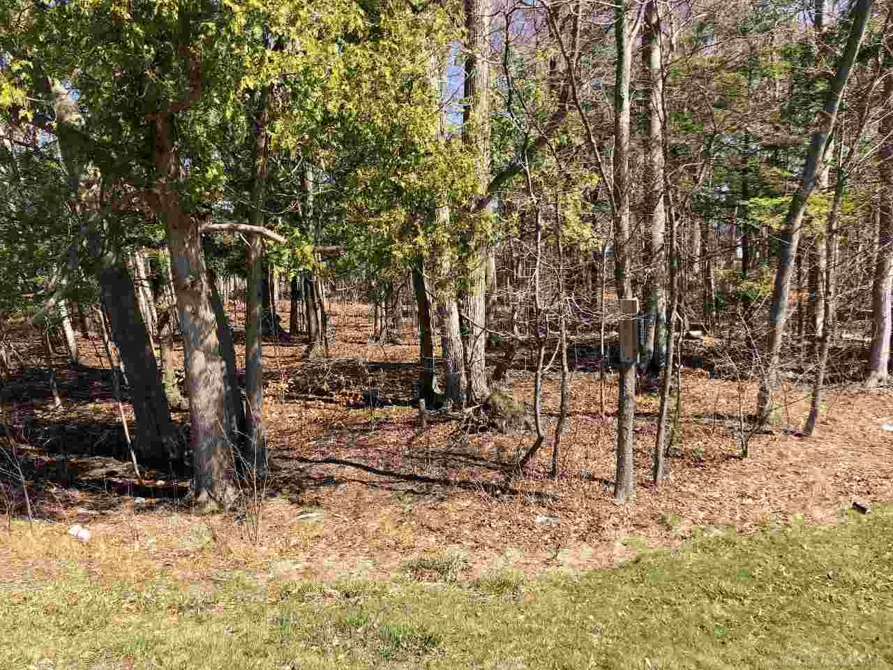 5354 Lakeshore Road Deckerville, MI 48427 - Photo 18 of 25