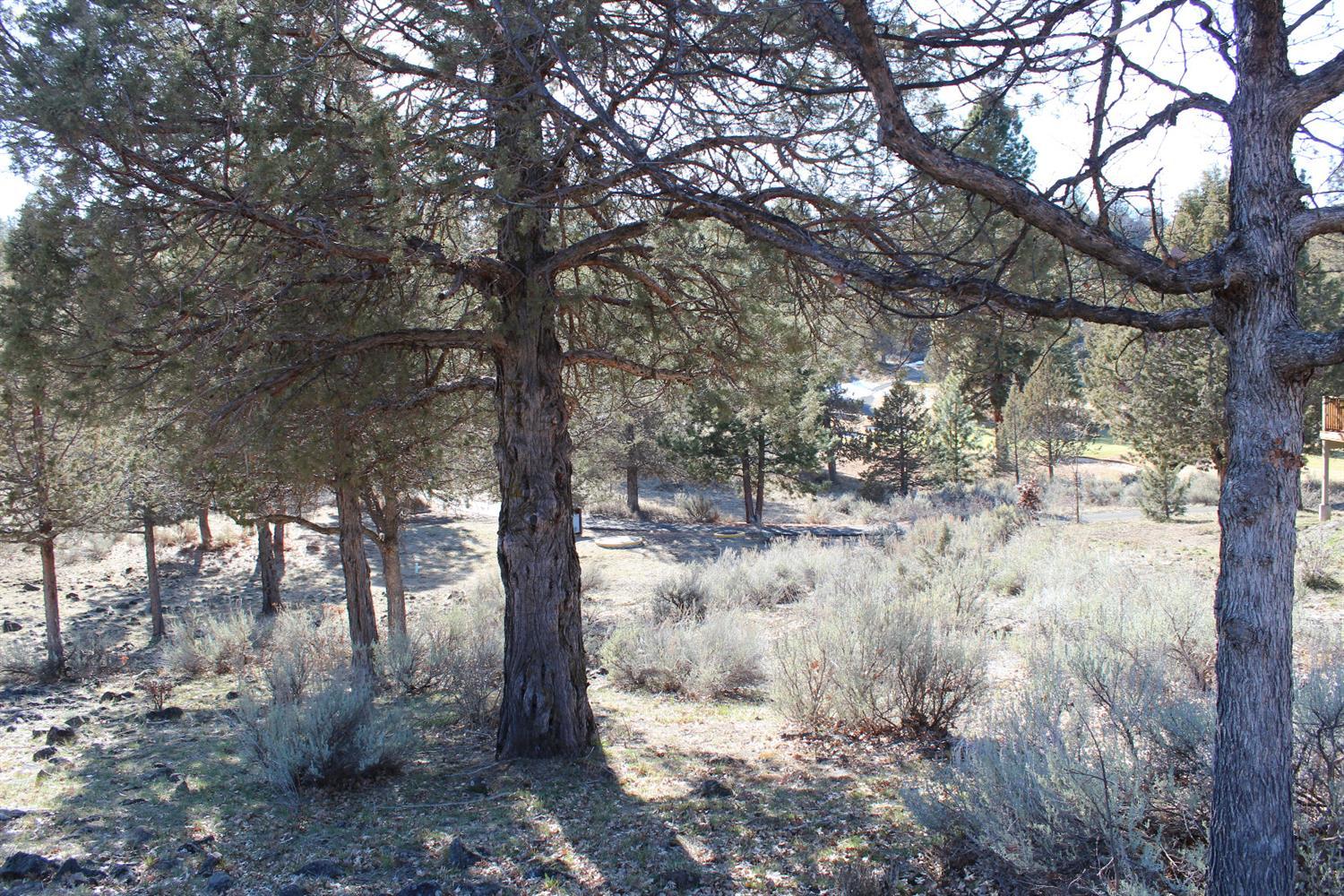 Kestrel Road Klamath Falls, OR 97601 - Photo 5 of 6 Additional Photo