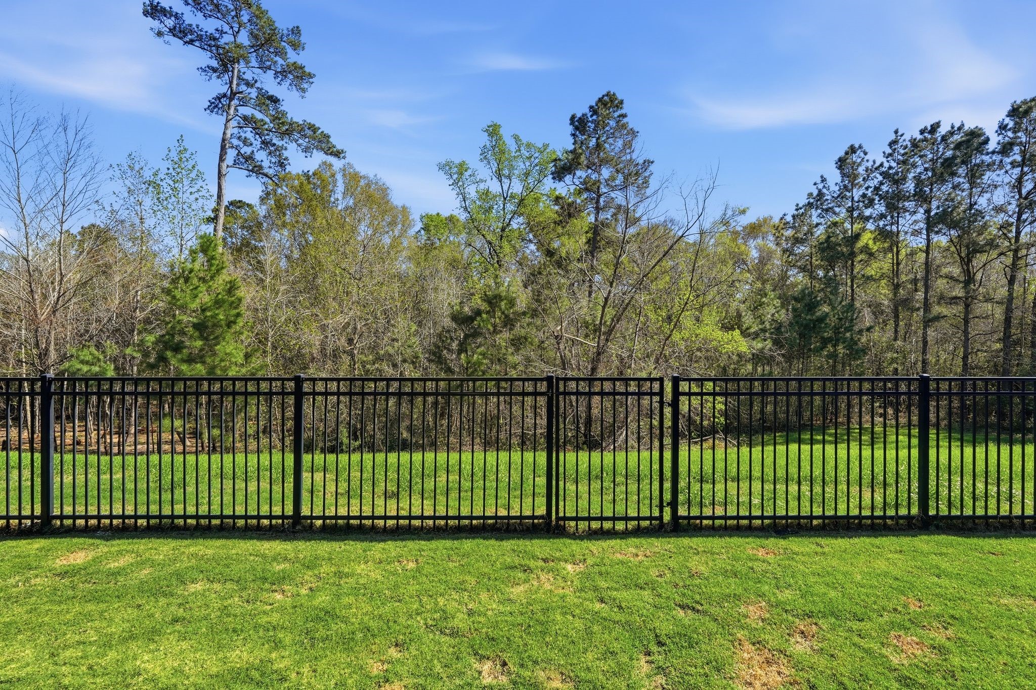 8602 Burdekin Road Magnolia, TX 77354 - Photo 43 of 50 No Rear Neighbors!