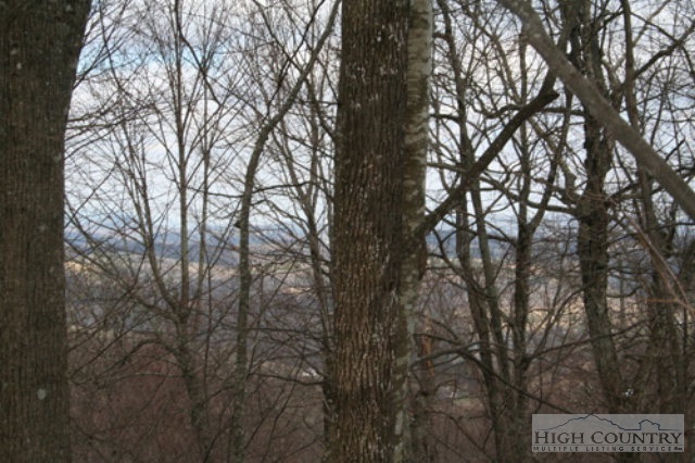 Oc Roland Road Jefferson, NC 28640 - Photo 3 of 6 Gallery Image 3