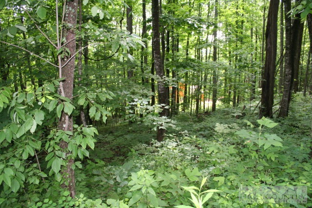 Oc Roland Road Jefferson, NC 28640 - Photo 4 of 6 Gallery Image 4