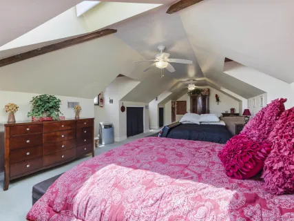 a front view of a house with a yard and potted plants