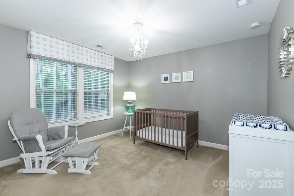 2118 Lometa Road York, SC 29745 - Photo 37 of 47