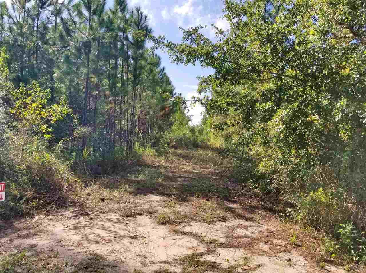 879 Dolphin Road Milton, FL 32583 - Photo 3 of 8
