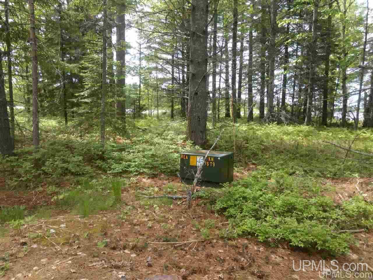 Tbd Rice Landing Road, Unit 13 Lake Linden, MI 49945 - Photo 3 of 35