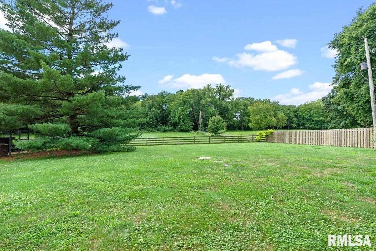 4584 Spaulding Orchard Road Springfield, IL 62711 - Photo 41 of 54