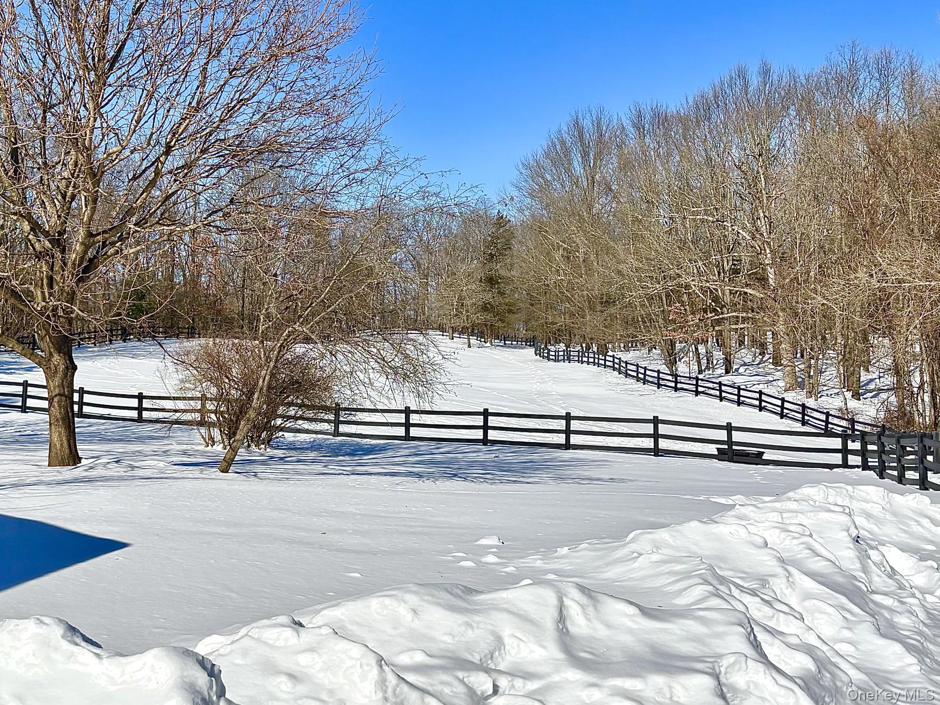 71 Frost Road Rhinebeck, NY 12572 - Photo 29 of 32 Backyard opens to meadow in back